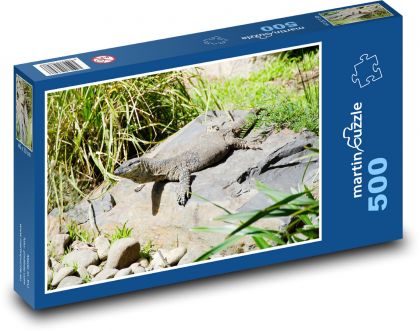 Varan - plaz, jašterica - Puzzle 500 dielikov, rozmer 46x30 cm 