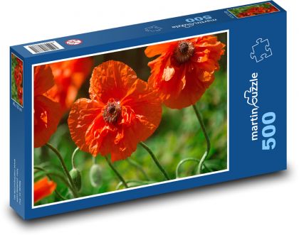 Mak - czerwone kwiaty, łąka - Puzzle 500 elementów, rozmiar 46x30 cm
