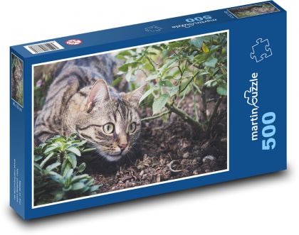 Mourovatá kočka - číhat, zahrada - Puzzle 500 dílků, rozměr 46x30 cm