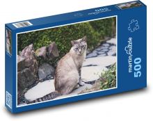 Siamská kočka - zahrada, venku Puzzle 500 - 46x30 cm