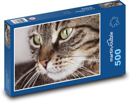 Mourek - cat, whiskers - Puzzle of 500 pieces, size 46x30 cm 