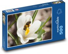 Bílý krokus - květina, rostlina Puzzle 500 dílků - 46 x 30 cm