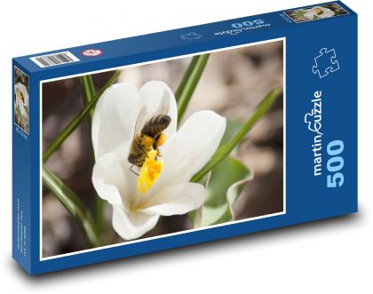 Bílý krokus - květina, rostlina - Puzzle 500 dílků, rozměr 46x30 cm