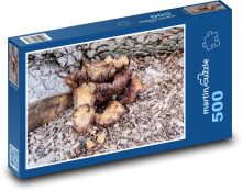 Houba - příroda, les Puzzle 500 - 46x30 cm