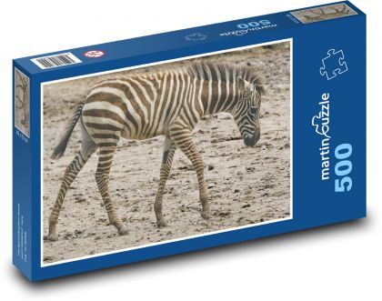 Zebra - mláďa, zviera - Puzzle 500 dielikov, rozmer 46x30 cm 