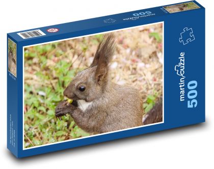 Veverka - hlodavec, divoká zvěř - Puzzle 500 dílků, rozměr 46x30 cm