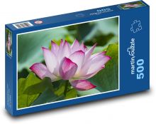 Lekno - ružový kvet, kvetina Puzzle 500 dielikov - 46 x 30 cm 