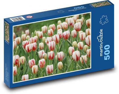 Tulips - garden, flowers - Puzzle of 500 pieces, size 46x30 cm 