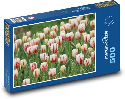 Tulipány - zahrada, květiny - puzzle 500 dílků