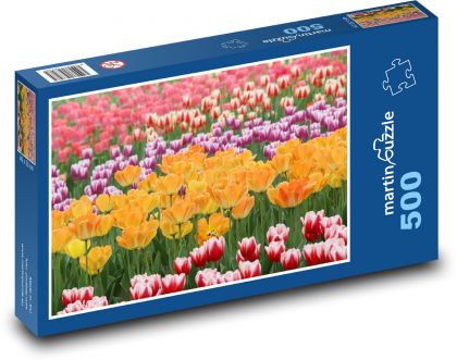 Tulipány - květiny, rostliny - Puzzle 500 dílků, rozměr 46x30 cm