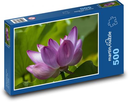 Lotosový květ - fialová rostlina, fialový květ  - puzzle 500 dílků