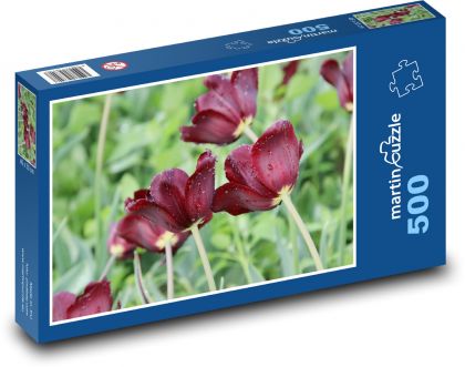 Kvitnúce tulipány - kvety, záhrada - Puzzle 500 dielikov, rozmer 46x30 cm 