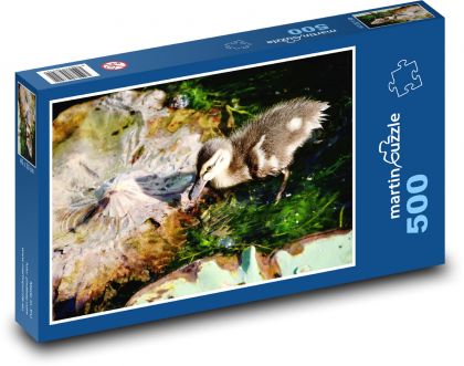 Divoká kachna - pták, voda - puzzle 500 dílků