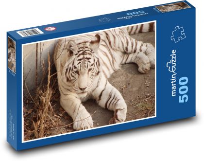 White tiger - big cat, mammal - Puzzle of 500 pieces, size 46x30 cm 
