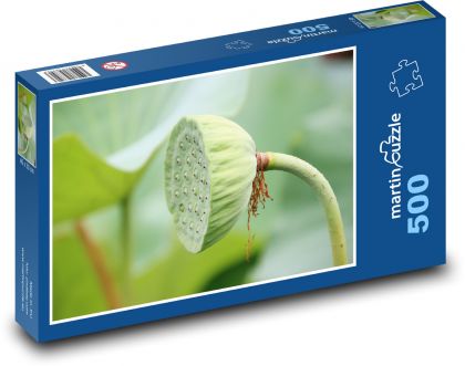 Lotus - aquatic plant, seed pod - Puzzle of 500 pieces, size 46x30 cm 