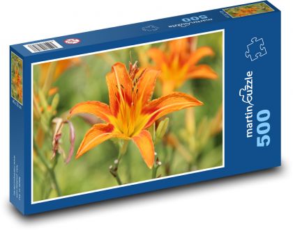 Liliowiec pomarańczowy - kwiat pomarańczy, ogród - Puzzle 500 elementów, rozmiar 46x30 cm