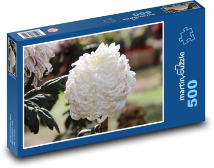 Bílá chryzantéma - květina, květ - puzzle 500 dílků
