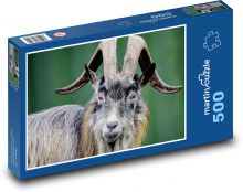 Irská koza - zvíře, přežvýkavec Puzzle 500 - 46x30 cm