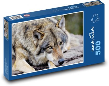 Šedý vlk - zvíře, savec - Puzzle 500 dílků, rozměr 46x30 cm