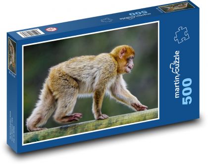 Barbarská opice - makak, zvíře - Puzzle 500 dílků, rozměr 46x30 cm