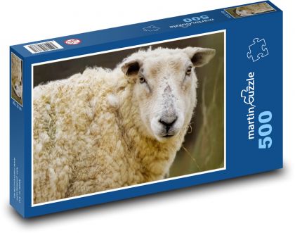 Sheep - animal, mammal - Puzzle of 500 pieces, size 46x30 cm 