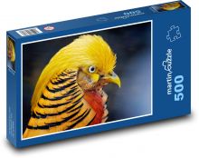Zlatý bažant - pták, peří Puzzle 500 dílků - 46 x 30 cm