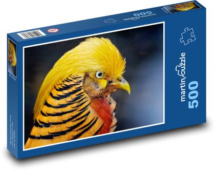 Zlatý bažant - pták, peří - Puzzle 500 dílků, rozměr 46x30 cm