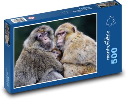 Barbarská opice - makak, rodina - puzzle 500 dílků