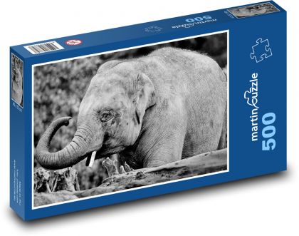 Slon indický - slůně, zvíře - Puzzle 500 dílků, rozměr 46x30 cm