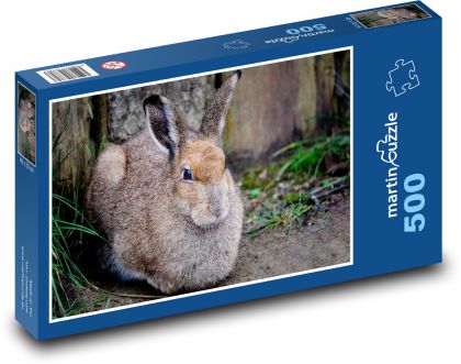 Divoký zajíc - zvíře, les - Puzzle 500 dílků, rozměr 46x30 cm
