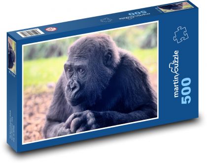 Gorilla - monkey, primate - Puzzle of 500 pieces, size 46x30 cm 