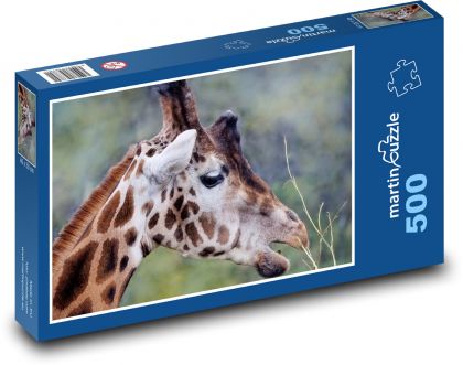 Giraffe - ruminant, mammal - Puzzle of 500 pieces, size 46x30 cm 