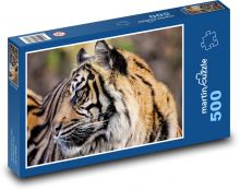 Tiger - divoká mačka, zviera Puzzle 500 dielikov - 46 x 30 cm 