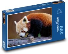 Panda červená - zviera, cicavec Puzzle 500 dielikov - 46 x 30 cm 
