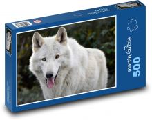 White wolf - wild animal, mammal Puzzle of 500 pieces - 46 x 30 cm 
