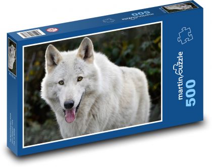 Bílý vlk - divoké zvíře, savec - Puzzle 500 dílků, rozměr 46x30 cm