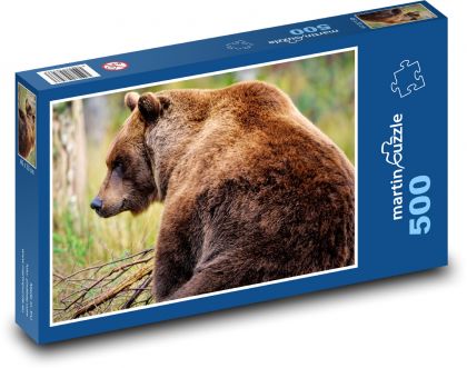 Medvěd hnědý - grizzly, zvíře - Puzzle 500 dílků, rozměr 46x30 cm