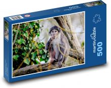 Opica mangabej - zviera, primát Puzzle 500 dielikov - 46 x 30 cm 
