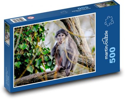 Opica mangabej - zviera, primát - Puzzle 500 dielikov, rozmer 46x30 cm 