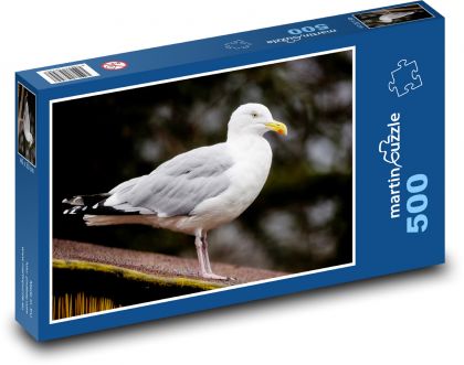 Silver seagull - bird, feather - Puzzle of 500 pieces, size 46x30 cm 
