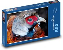 Bažant - pták, zvíře Puzzle 500 - 46x30 cm