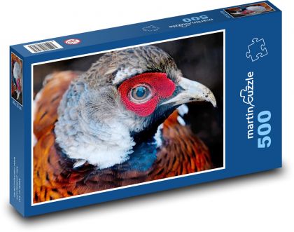 Pheasant - bird, animal - Puzzle of 500 pieces, size 46x30 cm 