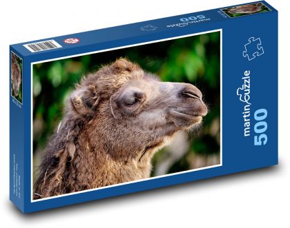 Zweihöckriges Kamel - Tier, Kopf - Puzzle - 500 Teile