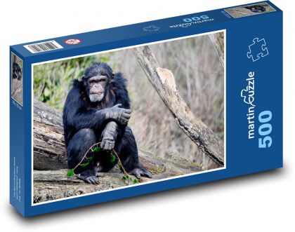 Schimpanse - Affe, Säugetier - Puzzle - 500 Teile
