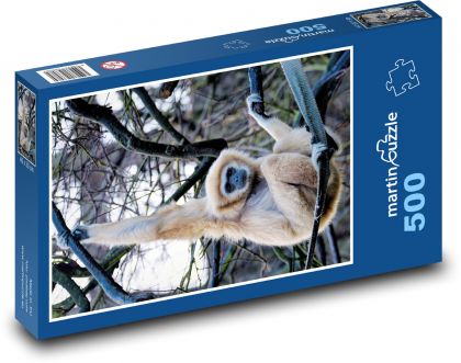 Gibon běloruký - opice, primát - puzzle 500 dílků