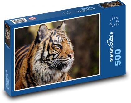 Tygr sumaterský - zvíře, lovec - Puzzle 500 dílků, rozměr 46x30 cm