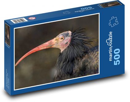Ibis - pták, zvíře - Puzzle 500 dílků, rozměr 46x30 cm