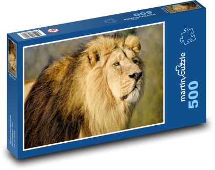Asiatischer Löwe - Jäger, Säugetier - Puzzle - 500 Teile