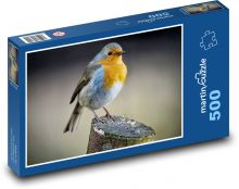Červenka - pták, peří Puzzle 500 - 46x30 cm