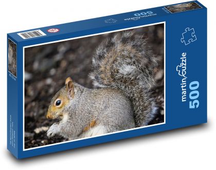 Wiewiórka szara - gryzoń, ssak - Puzzle 500 elementów, rozmiar 46x30 cm